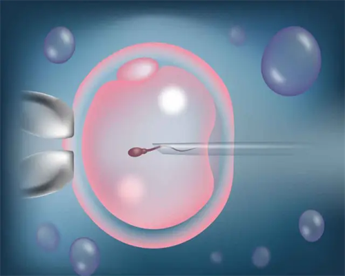 代妈助孕流程是什么,在代妈做试管婴儿多少钱一次,代妈北大做试管流程的费用