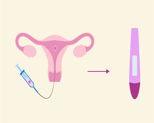 广东助孕怀宝宝(广东助孕怀宝宝的人多吗)