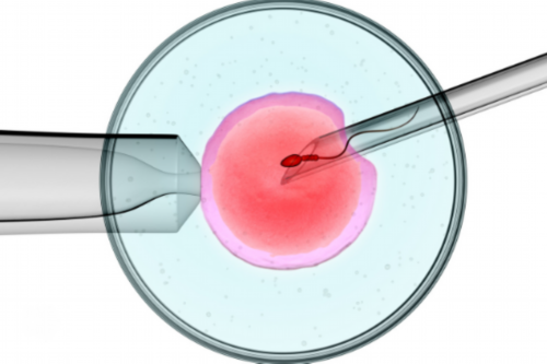 高颜值！代妈“00后”女学霸：本科发表SCI，满绩直博清华！