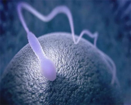 孕早期能吃油条吗