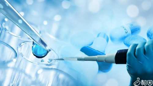 深圳代生公司深圳助孕,男的没精子女的怎么试管 不孕症的最佳治疗方法是什么