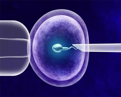 姐妹们代妈天子助孕中心怎么样？有人在那里做过吗