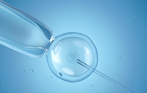 香港助孕妈妈待遇如何,代妈试管婴儿成功率高吗,代妈有试管婴儿服务机构吗，