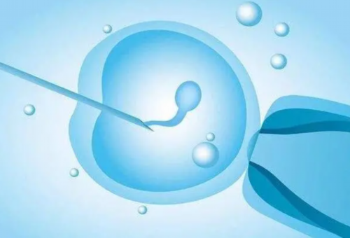 天津招代孕妈妈|鄂州供卵公司多少钱（北京代妈最高报酬多少）