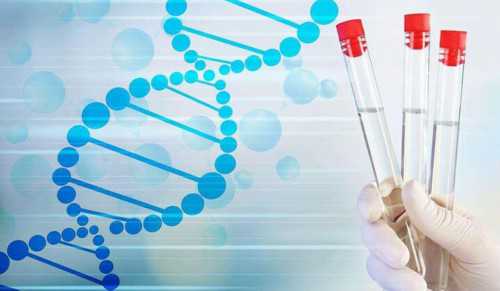 代生公司哪家正规_代生上那找|石家庄供卵试管医院_助孕生殖国际