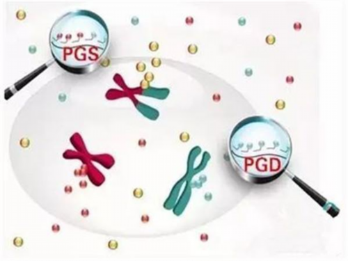 代妈试管婴儿成功率与年龄是否有关系？?,代妈嗣道与泰国嗣道医院的关系