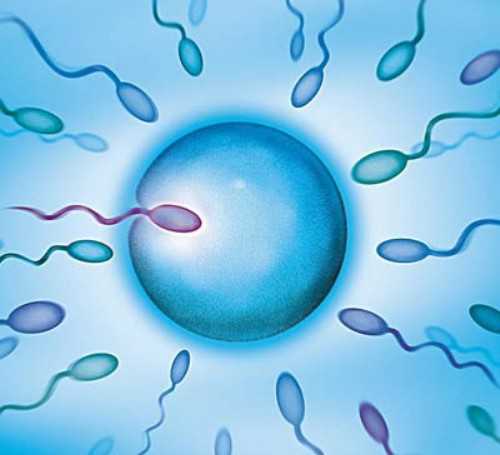 顺产和剖腹产产后修复的区别，产后修复