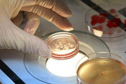 代妈市生育保险定点医疗机构名单,(榜单)代妈做试管成功率高的医院