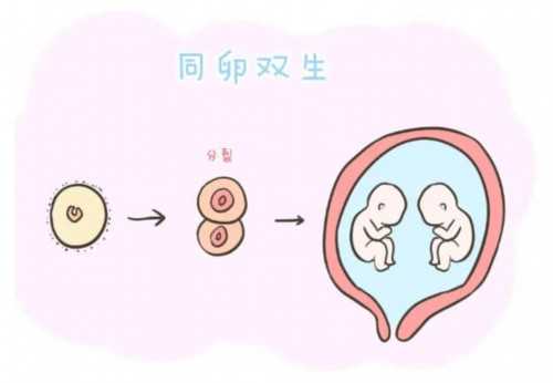 帮助减肥的食物一定有你常吃的