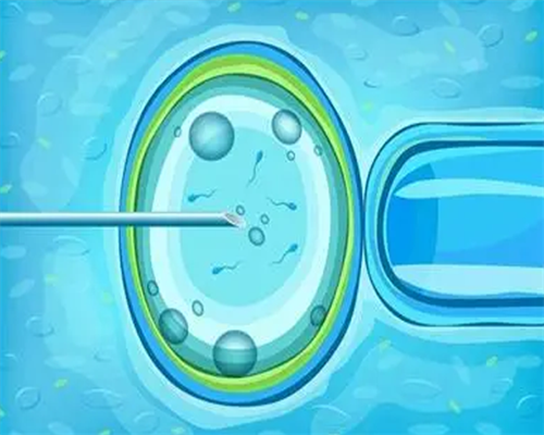 代生宝宝包性别_国内代生咨询|石家庄供卵试管成功案例（石家庄供卵试管）