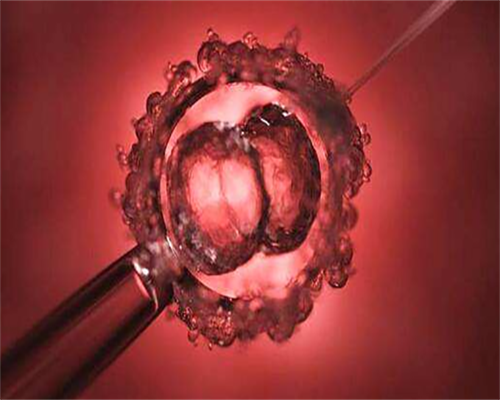 代生孩子哪里最好,试管婴儿胚胎移植会不会很痛_沧州供卵成功率_试管移植血值