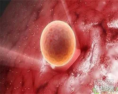 最好代生网,国内三代试管成功率怎么样？_上海正规供卵试管婴儿医院_右侧卵巢