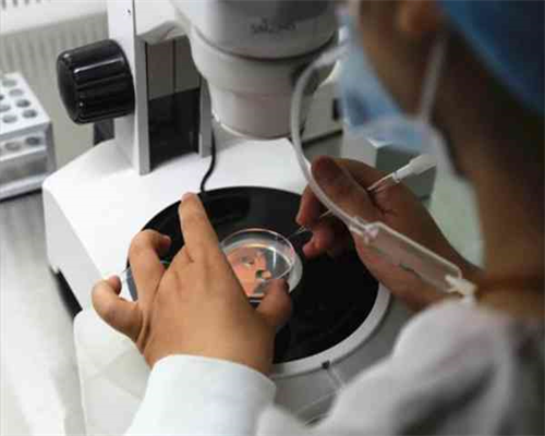 代生,女方要做哪些准备 北京做试管婴儿那个医院好-24岁2026
年4月生男生女-医院