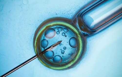 宫寒可以喝红豆薏米茶吗