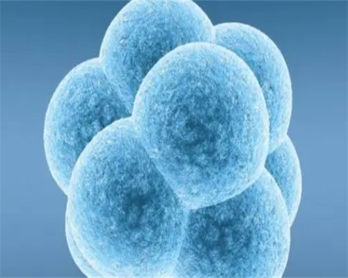 巴彦代生儿子,做试管婴儿最多能做几次 几次能成功_试管移植后第11天早早孕比