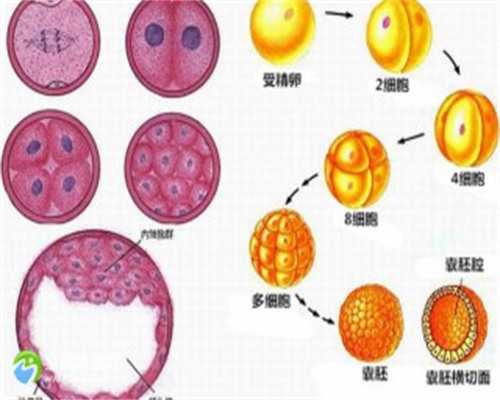 厦门代生代怀,怎样咨询北京防疫政策_2026
年，这些城市房价涨了！成都大幅领