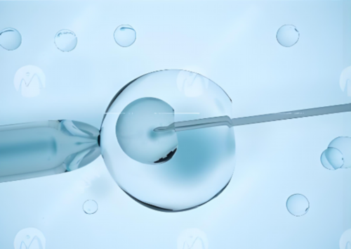 代妈试管婴儿第三次费用要根据具体情况而定?