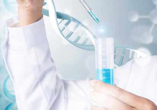 在代妈做三代试管选男孩找中介靠谱吗？,2026年在代妈做试管婴儿费用大约多少