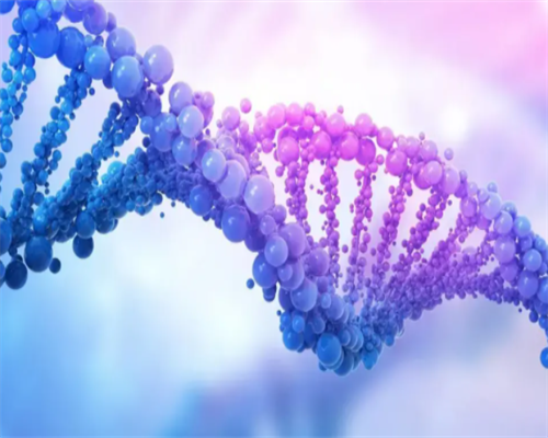 代生都需要什么_代生最靠谱的公司|东莞供卵试管婴儿多少钱一次啊