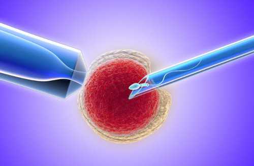 市妇幼保健试管婴儿需要多少费用钱？