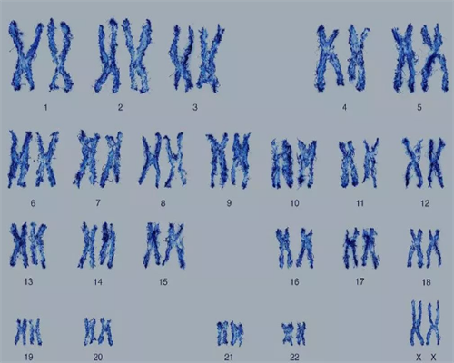 姐妹们代妈天子助孕中心怎么样？有人在那里做过吗