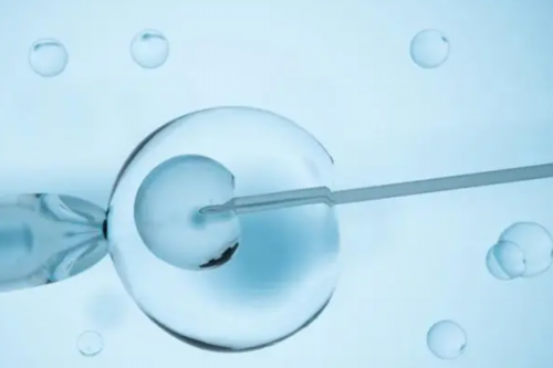 最新代妈补偿政策,各姐妹在代妈进行人工授精的费用讨论,代妈同济医院试管婴