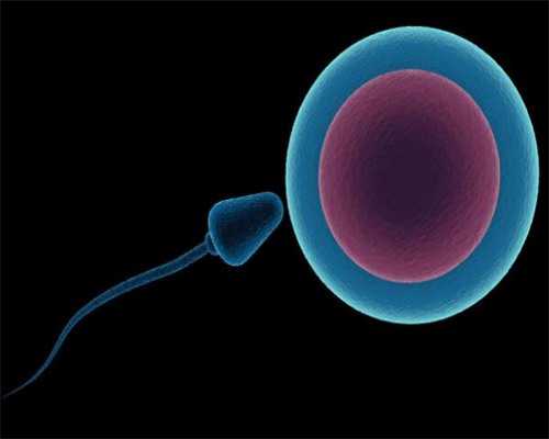 产假工资和生育津贴有什么区别？怎么发？