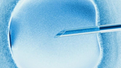 在代妈做个试管需要多少钱？在论坛上看到有人说在代妈康健妇婴医院做便宜点