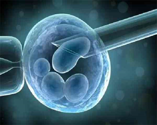 代妈这样的城市做人工受精需要多少钱,在代妈北医三院做试管婴儿，挂专家号
