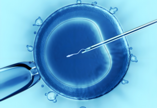 小孩性格很害羞怎么办呢(小孩性格很害羞怎么办呢女孩)