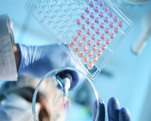 靠谱代生网,大龄预生二胎，试管婴儿来助阵！-试管二阶段移植成功率多大_我宫