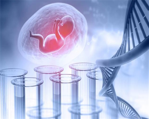 河北人类精子库最新资讯：了解精子库的运作及服务内容