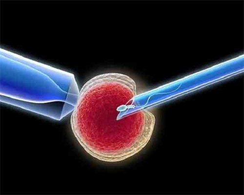 试管婴儿可以让人代生吗,有做试管婴儿移植一个四细胞一级胚胎成功的吗-湘雅