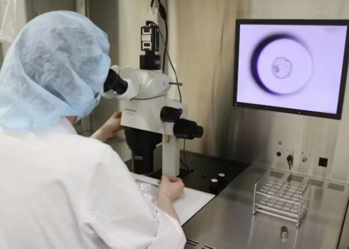 精子和卵子让别人代生,广州私立医院做试管多少钱？2026
试管医院价格表-深圳