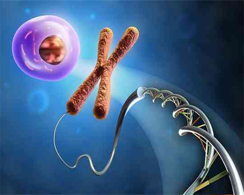 代生的多吗_代生公司哪里安全|石家庄妇产医院做第三代试管供卵费用需要多少