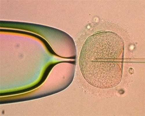 代妈点赞坤和,代妈集爱医院与不育诊疗中心特色,代妈私立生殖医院生殖医学中