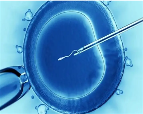 代妈三代试管费用一共要多少钱，要二十万？,代妈医科大一附院试管费用明细