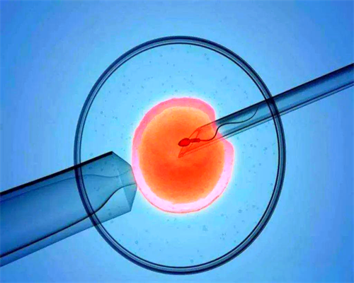 太原代生儿子价格,去泰国杰特宁专科医院做第三代试管婴儿好不好？-生男生女