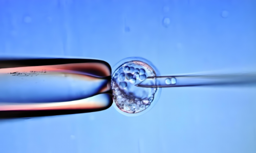 无锡代生子,兰州大学第一医院做试管婴儿应该预约哪个医生？-上海供卵试管双