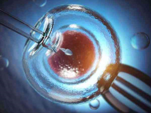 合肥试管代生机构,第三代试管婴儿百科-PGT技术介绍_子宫收缩着床一定失败_医