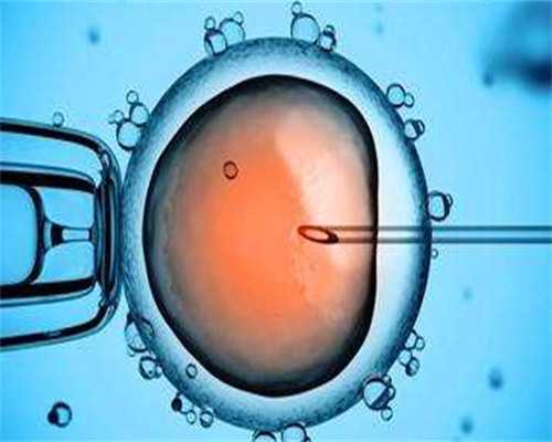代生公司招伐妈吗,做试管婴儿怎么取卵？(试管婴儿取卵一般取多少个童梦无忧