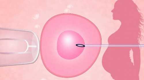 3天10+代妈试管机构考察后避坑汇总,代妈试管婴儿费用是多少？具统计在3~10万左