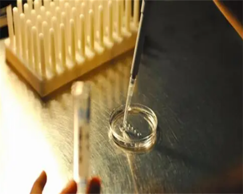 2026代妈试管婴儿医院排名大全，哪些知名度高