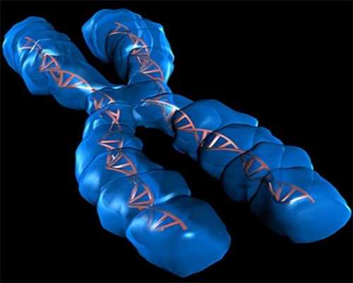 代生孩子代码招聘,北京供卵试管医院排行榜前十名单-上海供卵试管中心地址