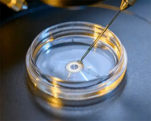 代妈做试管婴儿的全部费用大概是多少，五万够吗?