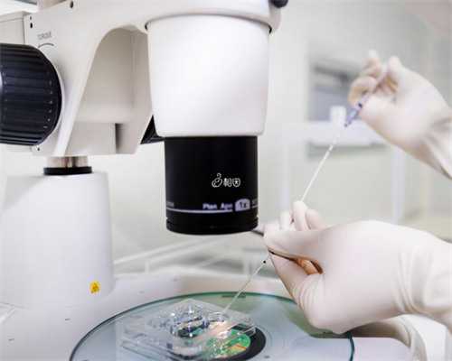 产后瘦身餐：麻油蛋包面线