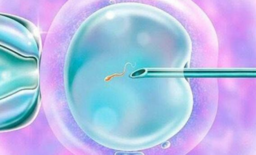 代生公司招伐妈吗,试管婴儿技术安全吗？会导致女性卵巢衰老提前绝经吗？-试