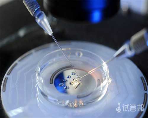 怀孕初期饿得快是男孩女孩