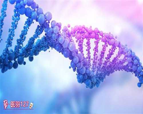 代生个娃多少价钱,北京正规合法的供卵试管机构有哪些？-备孕中梦见自己一个