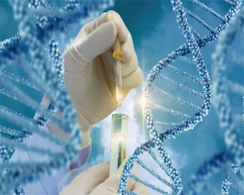 代妈北大试管的流程费用一览,代妈供卵试管婴儿单周费用明细一览，2026
借卵试